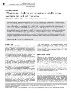 FAS-Antisense 1 Lncrna and Production of Soluble Versus Membrane Fas in B-Cell Lymphoma