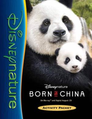Born in China Activity Pack