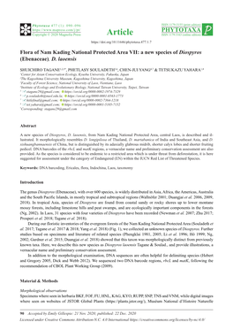 Flora of Nam Kading National Protected Area VII: a New Species of Diospyros (Ebenaceae), D