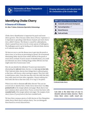 Identifying Choke Cherry a Source of X Disease  Dr