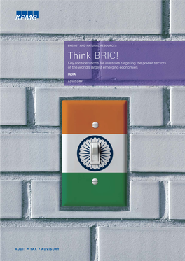 Think BRIC! Key Considerations for Investors Targeting the Power Sectors of the World’S Largest Emerging Economies