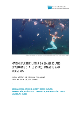 Marine Plastic Litter on Small Island Developing States (Sids): Impacts And