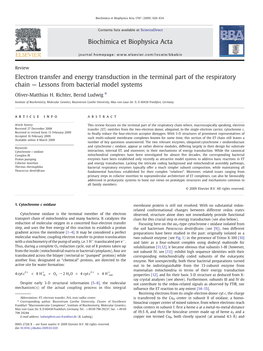 Electron Transfer and Energy Transduction in the Terminal Part of the Respiratory Chain — Lessons from Bacterial Model Systems