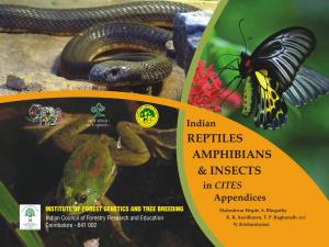 Brochure Reptiles, Amphibians and Insects 02