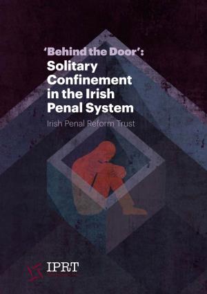 Solitary Confinement in the Irish Penal System Irish Penal Reform Trust B ‘Behind the Door’: Solitary Confinement in the Irish Penal System 1