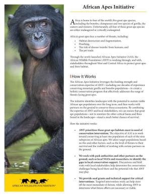 African Apes Initiative