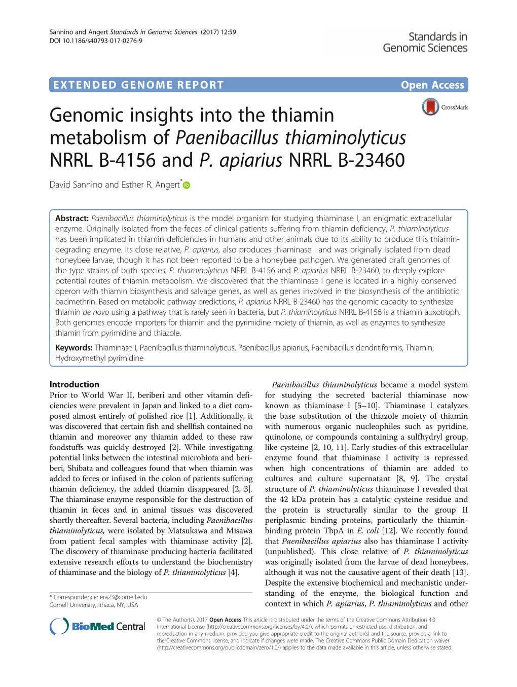 Genomic Insights Into the Thiamin Metabolism of Paenibacillus Thiaminolyticus NRRL B-4156 and P