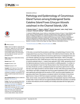 Pathology and Epidemiology of Ceruminous Gland Tumors Among Endangered Santa Catalina Island Foxes (Urocyon Littoralis Catalinae) in the Channel Islands, USA