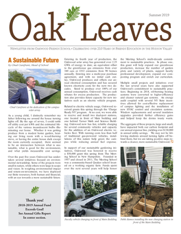 Oak Leaves Summer 2019