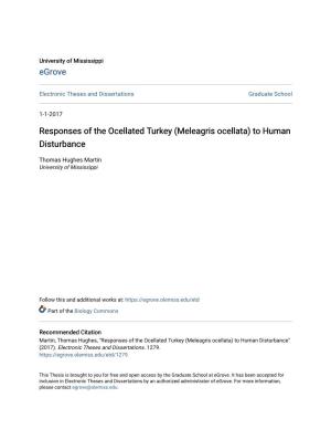 Responses of the Ocellated Turkey (Meleagris Ocellata) to Human Disturbance