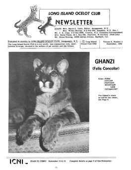 GHANZI (Felis Concolor)