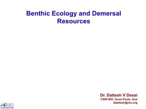 Benthic Ecology and Demersal Resources