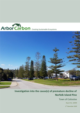 Of Premature Decline of Norfolk Island Pine Town of Cottesloe