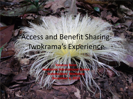 Iwokrama's Experience