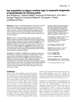 Modular Logic in Enzymatic Biogenesis of Yersiniabactin by Ye&N& Pestis