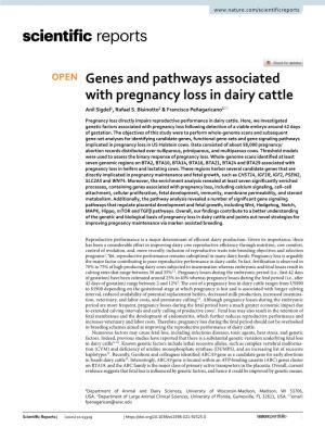 Genes and Pathways Associated with Pregnancy Loss in Dairy Cattle Anil Sigdel1, Rafael S