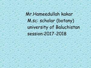 Scholar (Botany) University of Baluchistan Session:2017-2018