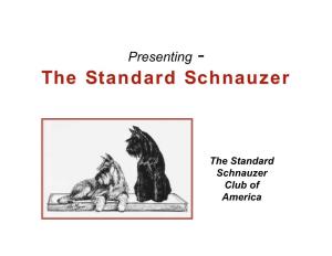 Presenting the Standard Schnauzer
