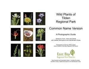 Wild Plants of Tilden Regional Park Common Name Version