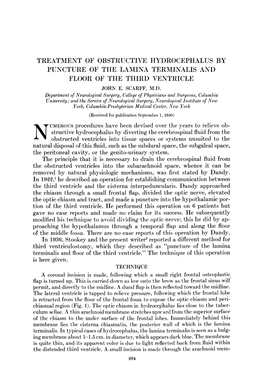 Treatment of Obstructive Hydrocephalus by Puncture of the Lamina Terminalis and Floor of the Third Ventricle John E