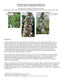 Herbicide Trials on Grecian Foxglove (Digitalis Lanata) Along State Highway 95 Right-Of-Way in Minnesota