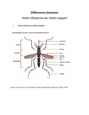 Differences Between Aedes Albopictus Vs. Aedes Aegypti