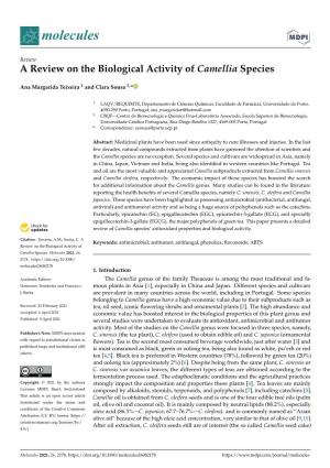 A Review on the Biological Activity of Camellia Species