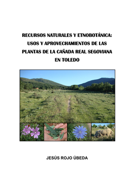 Recursos Naturales Y Etnobotánica: Usos Y Aprovechamientos De Las Plantas De La Cañada Real Segoviana En Toledo