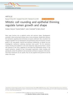 Mitotic Cell Rounding and Epithelial Thinning Regulate Lumen Growth and Shape