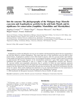 The Phylogeography of the Malagasy Frogs Mantella Expectata And