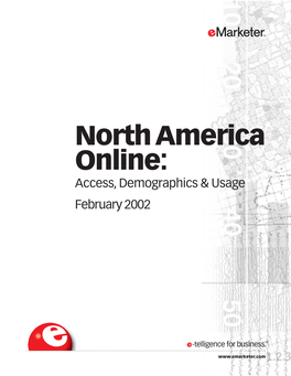 Access, Demographics & Usage, February 2002