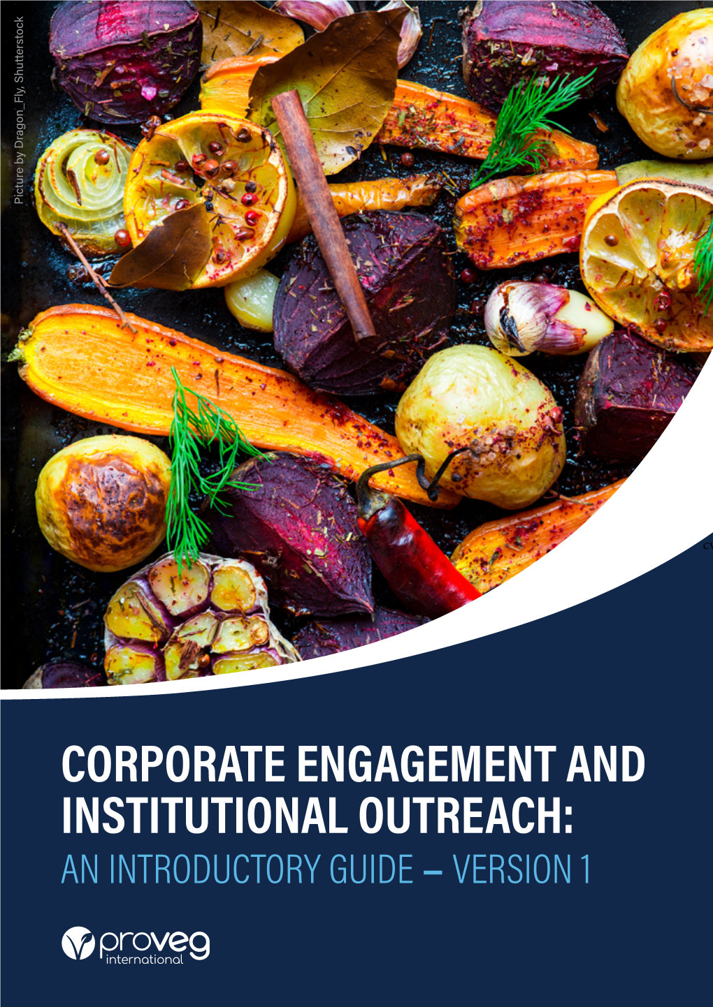 Corporate Engagement and Institutional Outreach