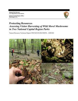 Protecting Resources Assessing Visitor Harvesting of Wild Morel Mushrooms in Two National Capital Region Parks