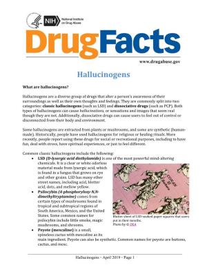 Drugfacts-Hallucinogens