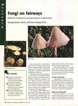 Fungi on Fairways