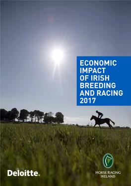 ECONOMIC IMPACT of IRISH Breeding and RACING 2017 1.3 Million 28,900 Attendees at Irish Racing Direct, Indirect and Secondary Employment