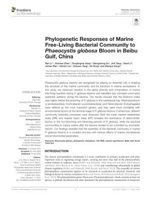 Phylogenetic Responses of Marine Free-Living Bacterial Community to Phaeocystis Globosa Bloom in Beibu Gulf, China