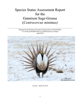 Gunnison Sage-Grouse Species Status Assessment Report