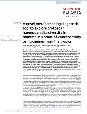 A Novel Metabarcoding Diagnostic Tool to Explore Protozoan