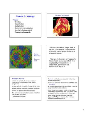 Chapter 6 - Virology Viruses in Action!!