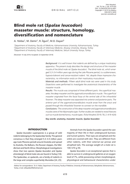 Blind Mole Rat (Spalax Leucodon) Masseter Muscle: Structure, Homology, Diversification and Nomenclature A