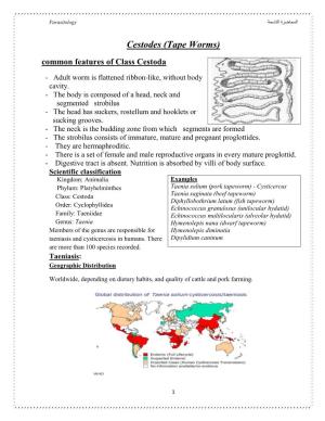Cestodes (Tape Worms) Common Features of Class Cestoda