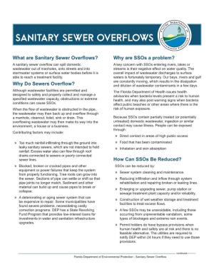 Sanitary Sewer Overflows