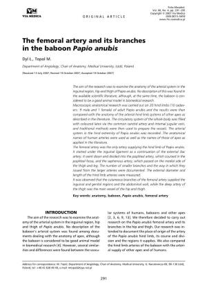 The Femoral Artery and Its Branches in the Baboon Papio Anubis