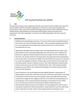 CFE County Priorities for Suffolk