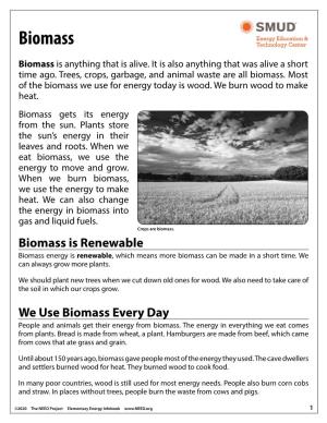 Elementary Energy Infobook, Biomass