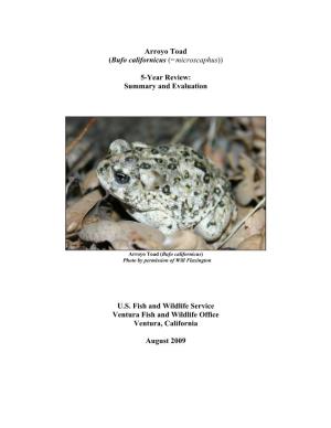 Arroyo Toad (Bufo Californicus (=Microscaphus))