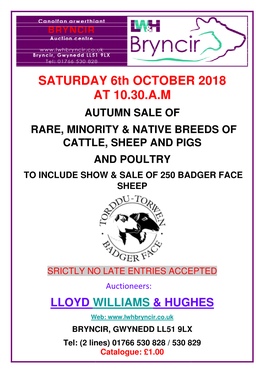 Saturday at 10. Autumn Rare, Minority & Nat Cattle