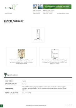CENPH Antibody Cat