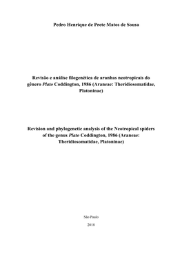 Pedro Henrique De Prete Matos De Sousa Revisão E Análise Filogenética De Aranhas Neotropicais Do Gênero Plato Coddington, 1
